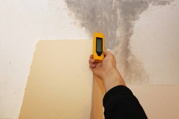 Best Asbestos and Lead Testing During Mold Inspection  in Montezuma, IA