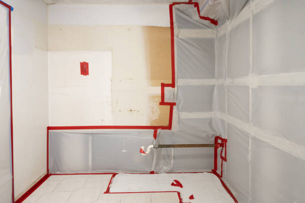 Best Post-Construction Mold Inspection  in Montezuma, IA