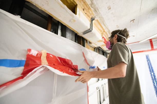 Best Environmental Consulting for Mold Prevention  in Montezuma, IA