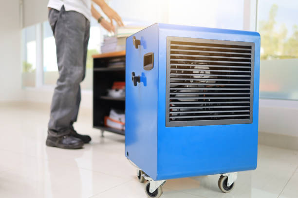 Best Dehumidification Services  in Montezuma, IA