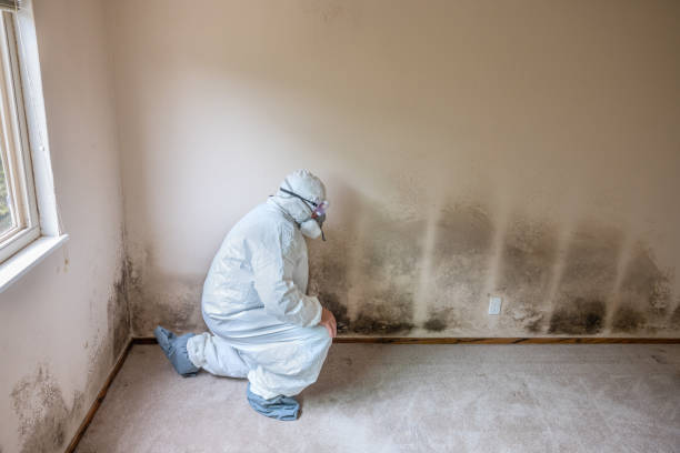 Best HVAC Mold Inspection and Cleaning  in Montezuma, IA